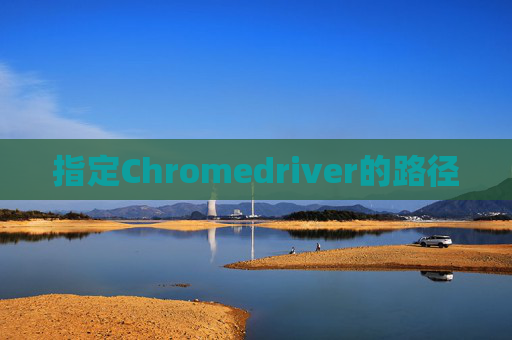 指定Chromedriver的路径